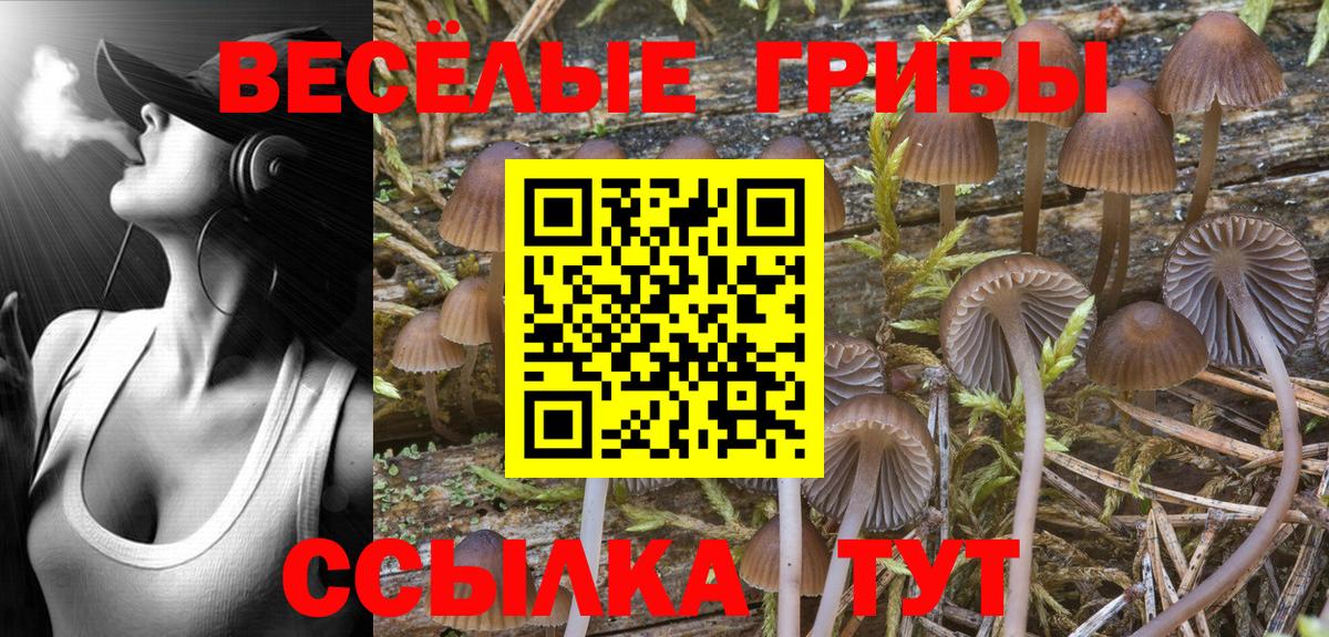 Туапсе  Галлюциногенные грибы Cubensis  Псилоцибиновые грибы Magic Shrooms  Вход с VPN 
